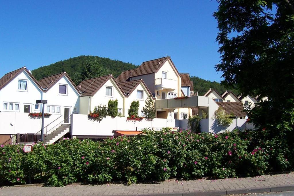 Helle 93M2 Fewo Mit 2 Schlafzimmern Am Edersee Scheid  Exterior photo